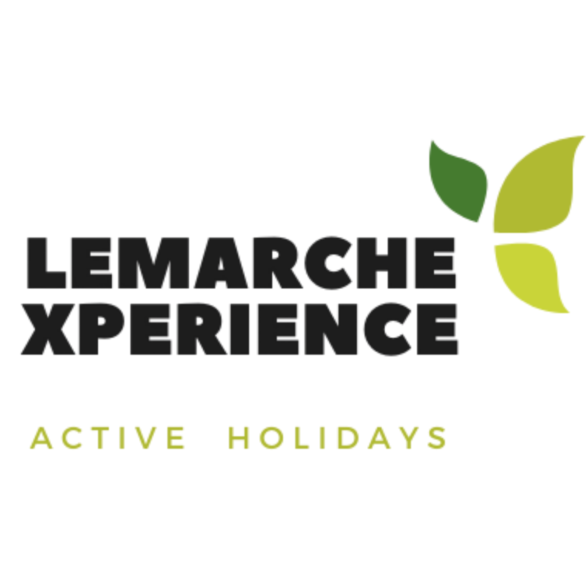 Le Marche Experience